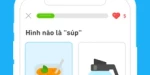 Tải ứng dụng Duolingo MOD APK - Học Tiếng Anh Online Miễn Phí 